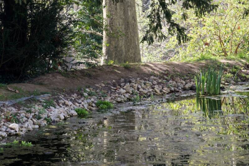 pszentlaszlo_arboretum-20180412-20 (Egyedi).jpg